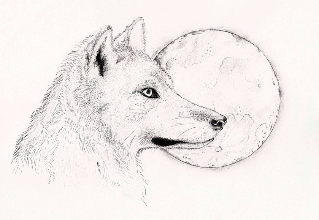 Moon and Wolf