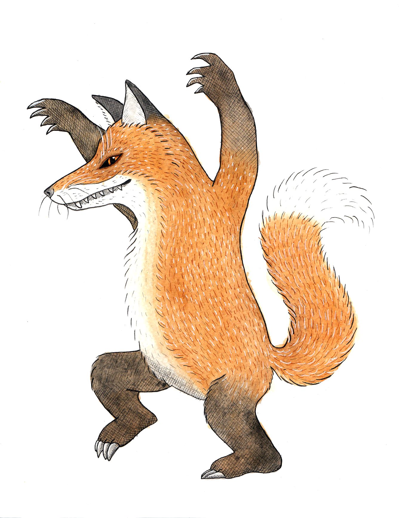 Wild Things Fox