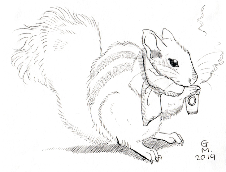 Squirrel Coffee