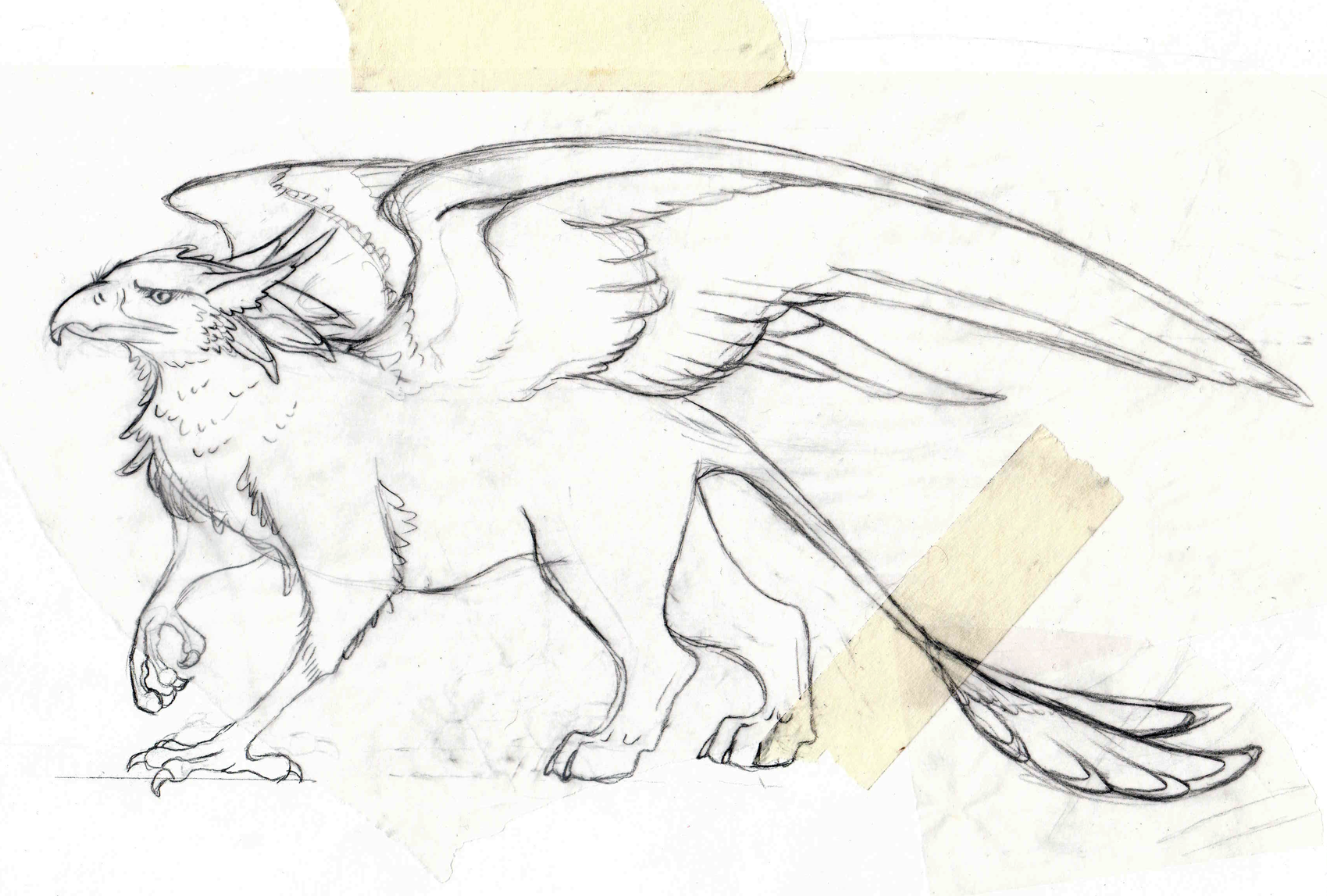 Gryphon