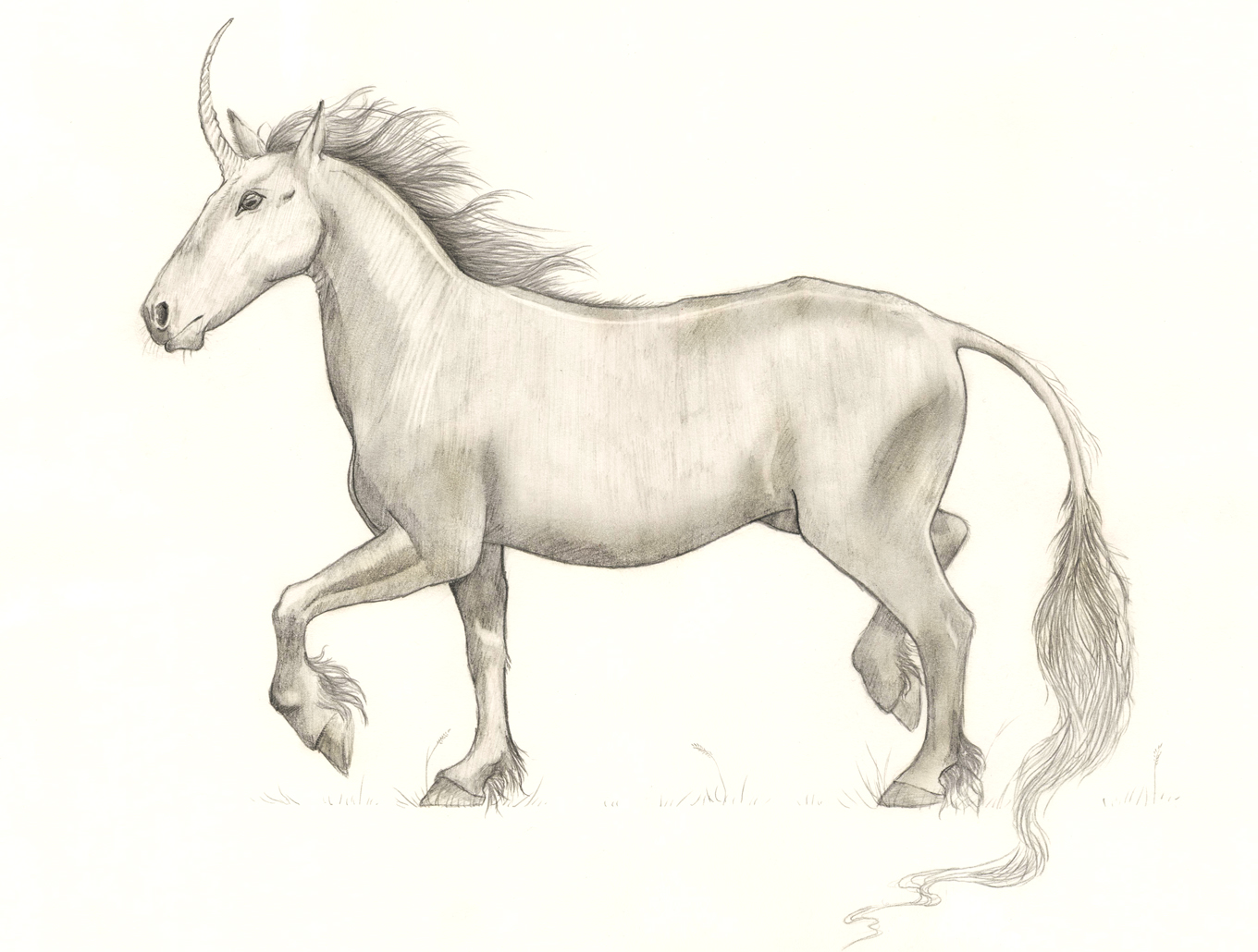 Unicorn