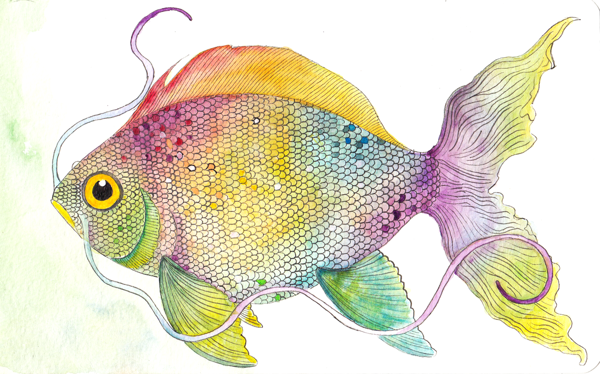 Rainbow Fish