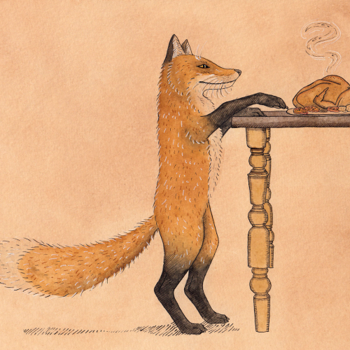 'Fox' Illustration II