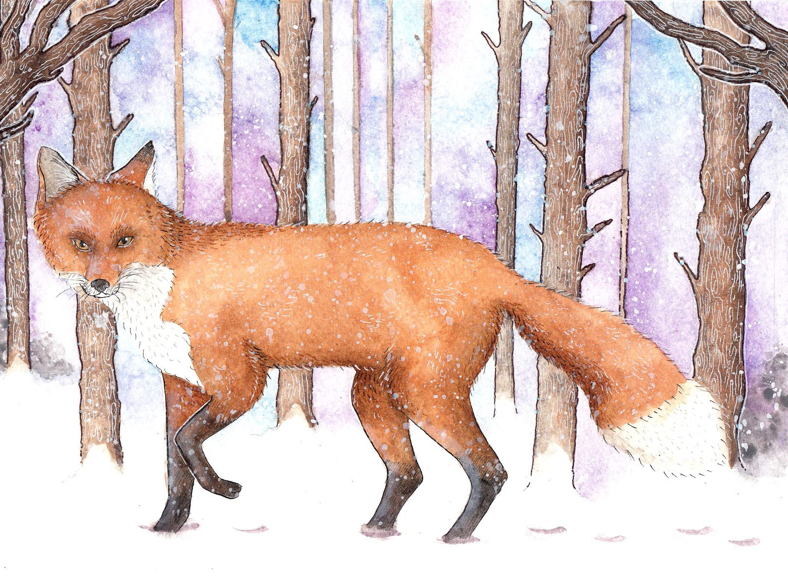 Winter Fox